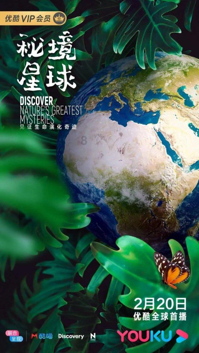 救援紫色生物